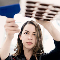 Melissa Coppel Chocolatier