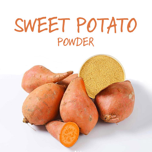 sweet potato powder